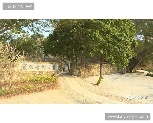 开云体育在线登入常见问题解答,解决登录过程中遇到的各种技术难题与操作困扰